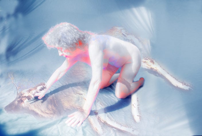 Inspiration for Photographs, Woman with Deer and Bride of Dead Deer and Performance/photograph, Passage