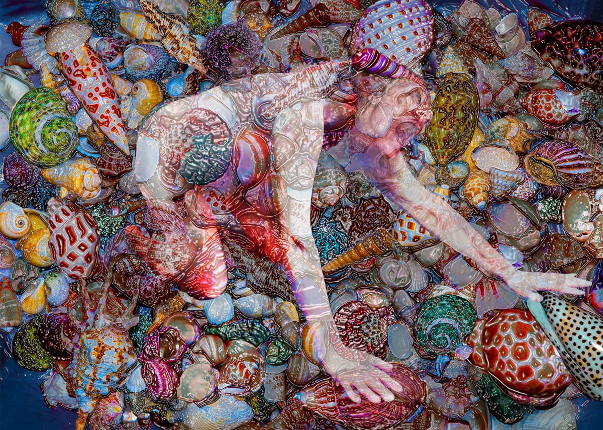 The Shell Collector (40" x 29")