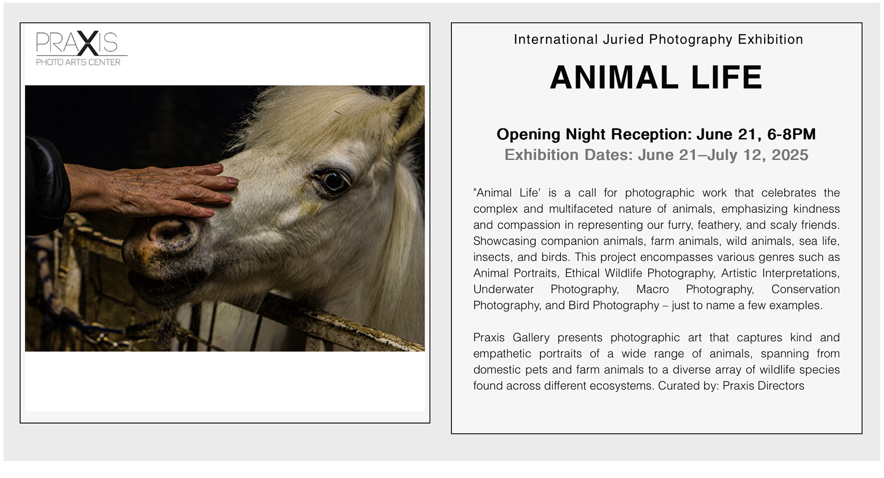 animal life praxis banner animal life praxis banner