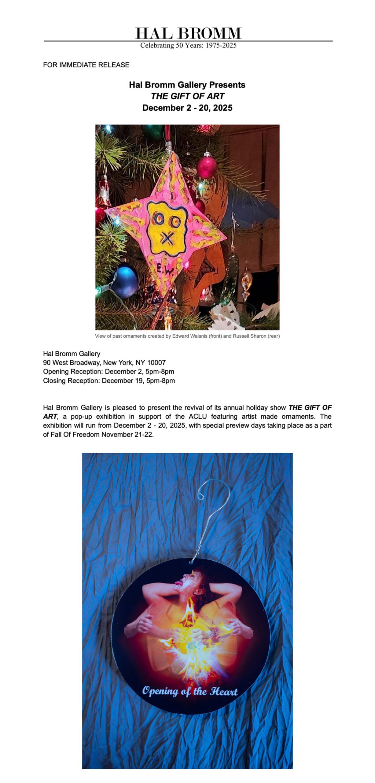 HAL BROMM BANNER scaled