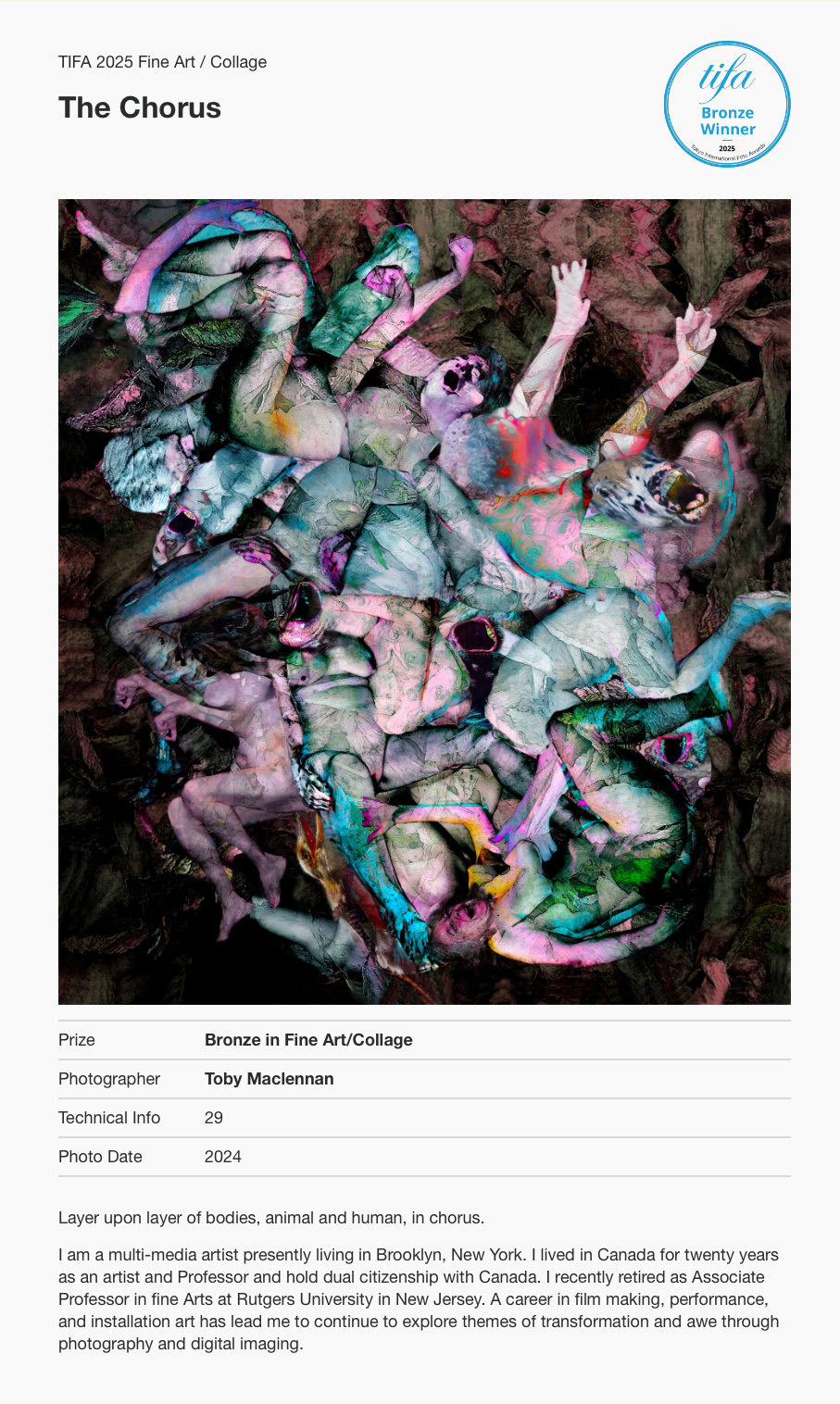 tifa BANNER FOR THE CHORUS DEC